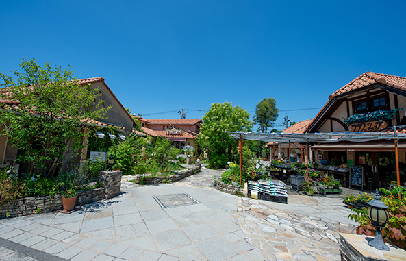 メグリア三好店