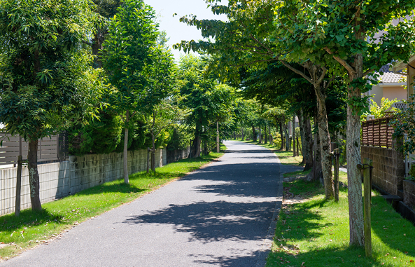 遊歩道