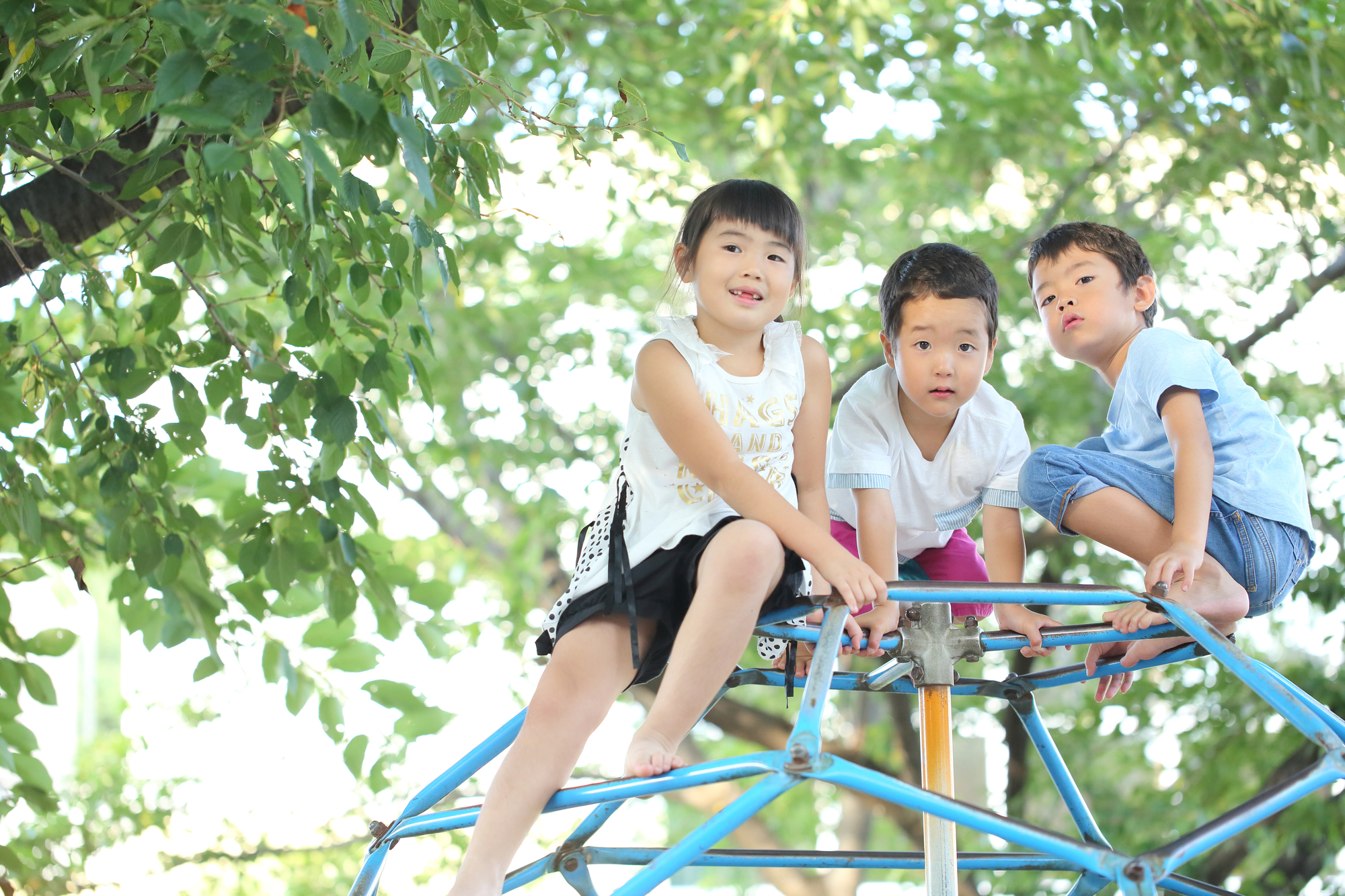 今日はどこの公園で遊ぼうか?そんな会話が自然に生まれる。